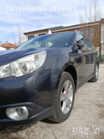 Професионално пастиране, снимка 15 - Пастиране - 45295856