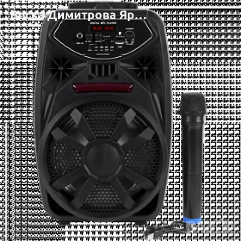 Преносим Bluetooth високоговорител с вход за микрофон PK-09(L)