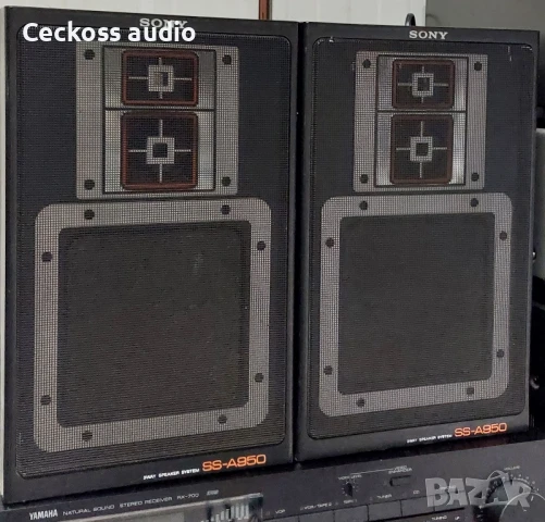 Тонколони SONY SS-A950, снимка 3 - Тонколони - 50662991