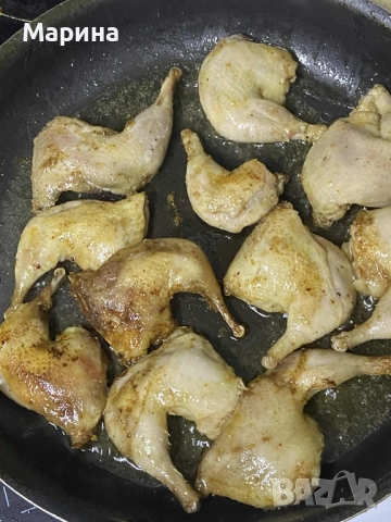 пъдпъдъци , снимка 3 - други­ - 52094594