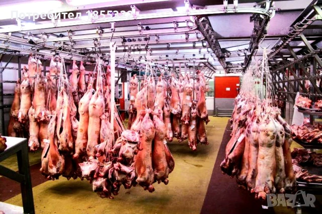 Работа във Великобритания , снимка 4 - Работа в Англия - 51430794