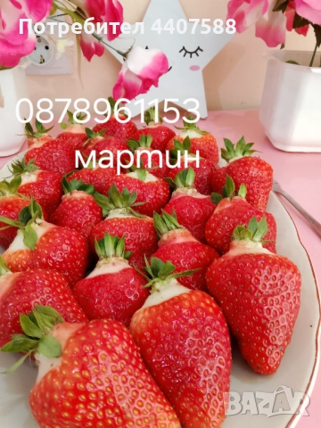 Разсад ягоди и малини , снимка 3 - Разсади - 49528320