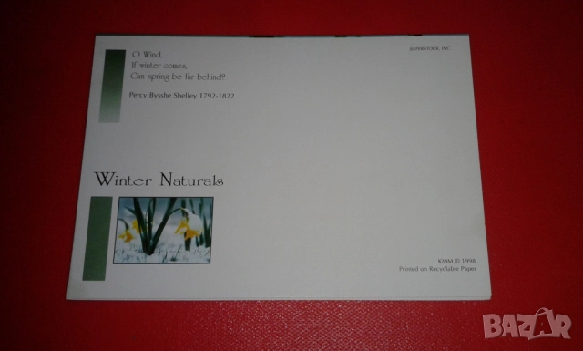 4 прекрасни двойни картички на тема "Зимна природа"с подходящи послания, снимка 7 - Колекции - 52380809