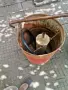Продавам меден казан за ракия. , снимка 3