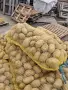 Картофи за консумация сорт Сорая, снимка 2