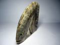 Ахат ивичест, натурален естествен Тропическа риба, рибка 560 карата Индия, снимка 4
