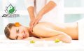 Масаж с евкалиптово масло, лечебен масаж с физиотерапия и поморийска, снимка 1