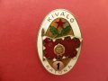 Унгарски нагръден знак Kivalo Katona"Отличен войник" I степен значка, снимка 1 - Антикварни и старинни предмети - 42629978