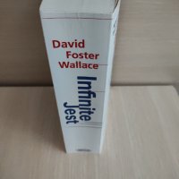 Infinite jest, David Foster Wallace , снимка 1 - Художествена литература - 41001404