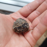 Метеорит, снимка 6 - Колекции - 44931564