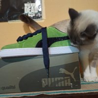 Puma Suede,Пума Суед 50 години ПУМА, снимка 4 - Кецове - 34609733