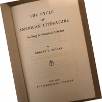 The CYCLE OF AMERICAN LITERATURE: An Essay in Historical Criticism, снимка 3 - Други - 36312120