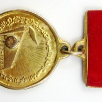 Кюрдистан-Кюрдистански медал знак-Рядкост-Революционна партия, снимка 3 - Колекции - 41666017