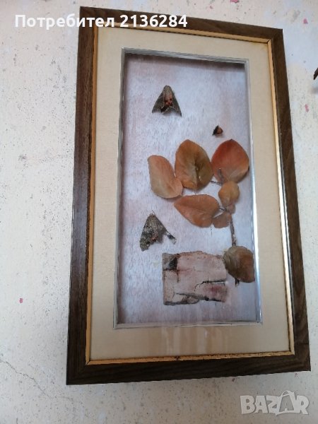 Картина, снимка 1