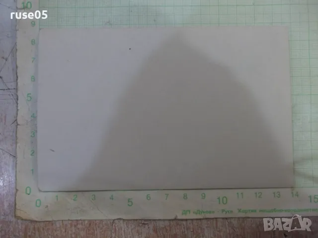 Снимка стара на група пред водопада, снимка 2 - Колекции - 48005173