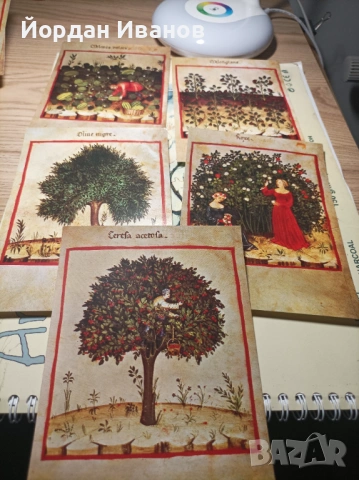 Лот колекционерски картички -Unicef, снимка 7 - Колекции - 53612953