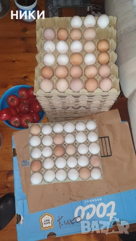 продавам домашни яйца