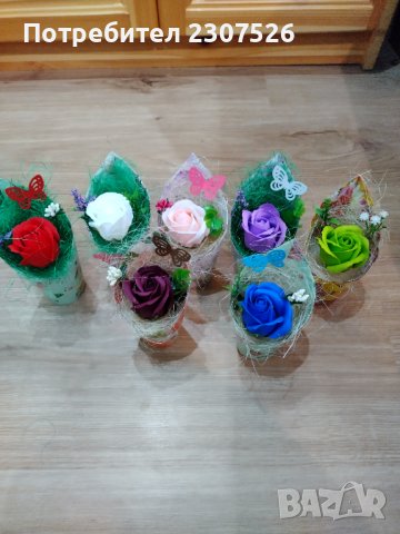 Цветя, снимка 9 - Стайни растения - 41412205