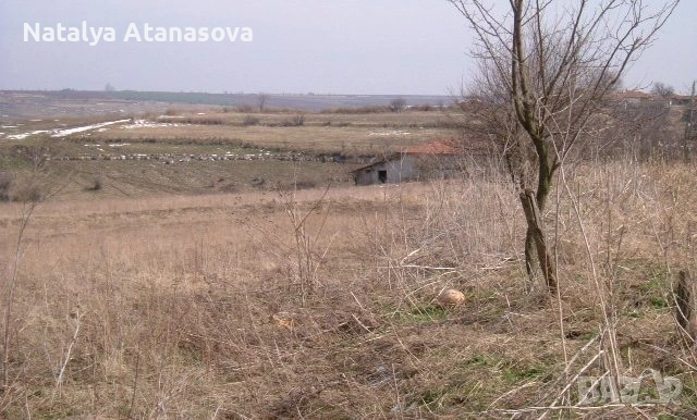 Парцел за продажба в Сърнец, област Добрич, снимка 7 - Парцели - 53656540