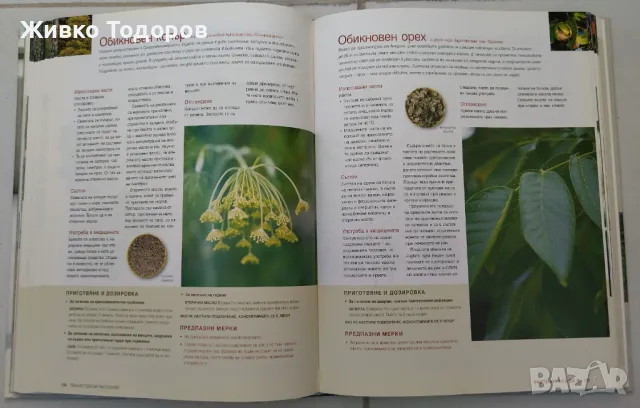Супер салати  - Reader's Digest, снимка 8 - Специализирана литература - 40088813