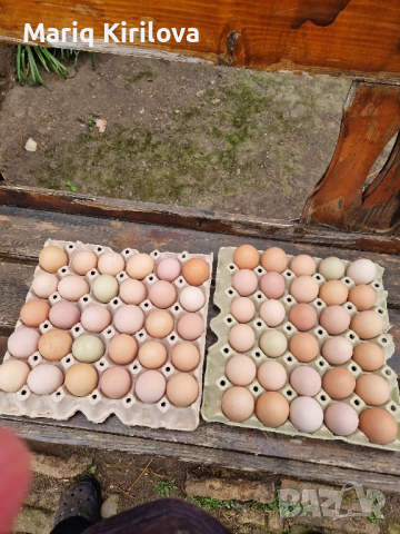 Продавам домашни яйца 12лв.картона , снимка 5 - Домашни продукти - 44582097