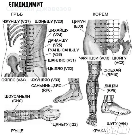  ЕЛЕКТРОПУНКТУРА  ЕЛЕДИА 9ПА+, снимка 12 - Медицинска апаратура - 27546230