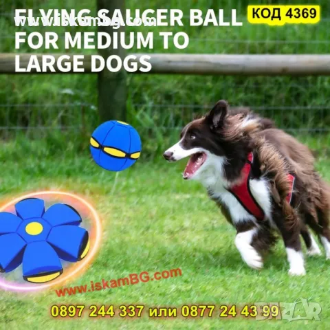 Трансформираща се топка-фризби за кучета - КОД 4369, снимка 10 - За кучета - 50205289