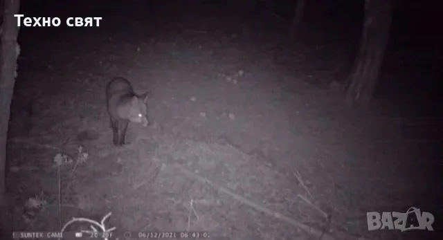 Ловна видео камера 2G/3G/4G,качествена батерия сим карта+карта памет, снимка 3 - IP камери - 48918393