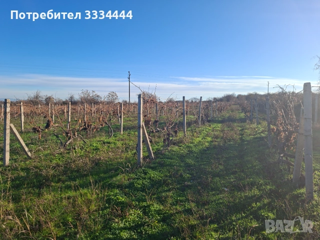 Продавам имот тип лозе, местност "Комсала", с.Марково, гр. Пловдив, снимка 3 - Земеделска земя - 53711451