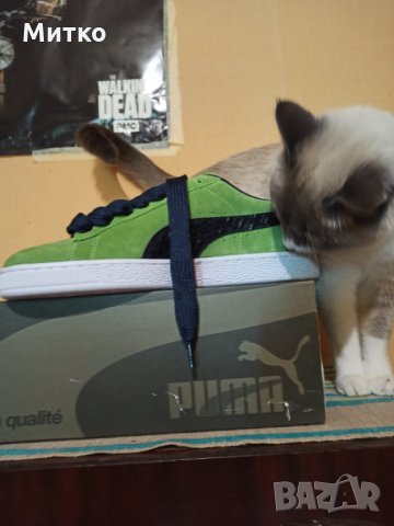 Puma Suede,Пума Суед 50 години ПУМА, снимка 4 - Кецове - 34609733