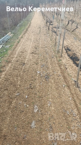 Мотоблок беларус (триколка), снимка 4 - Селскостопанска техника - 53839282