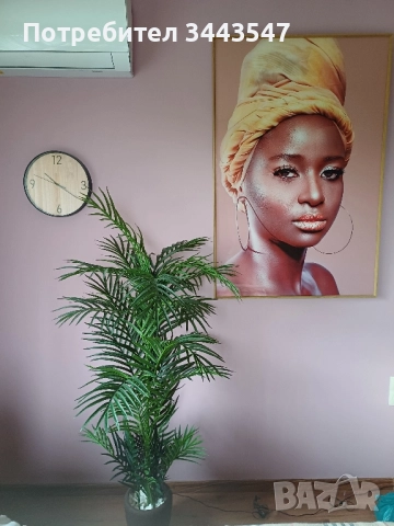 Стъклена картина.Намалена, снимка 3 - Декорация за дома - 45635116