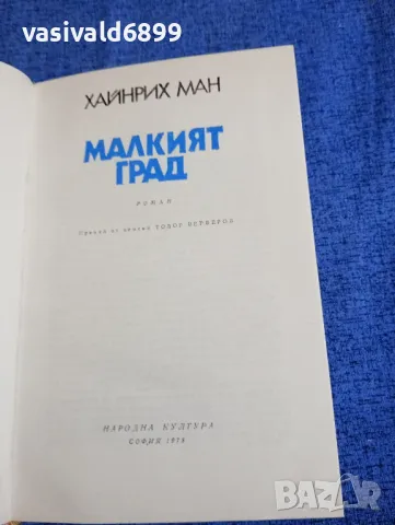 Хайнрих Ман - Малкият град , снимка 5 - Художествена литература - 50328006