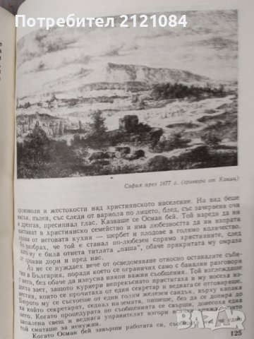 Доосвобожденски пътеписи, снимка 8 - Специализирана литература - 39719254