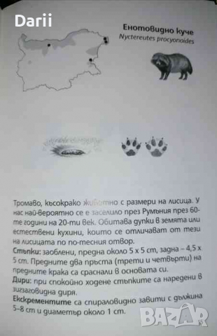 Следите на бозайниците в България .Определител- Костадин Вълчев, Владимир Милушев, снимка 2 - Специализирана литература - 36283742