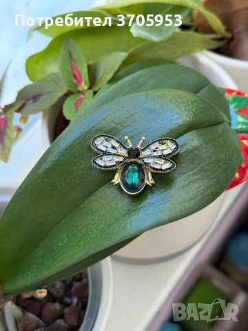 Нови брошки от 4лв.