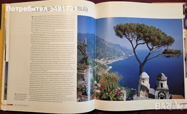 The New Italy. A Complete Guide to Contemporary Italian Wine, снимка 12 - Кулинария - 55817326