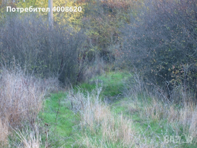 Продавам от 12 дка в с. Приселци, общ. Аврен, обл. Варна – местност „ЯВЛ“(На около 2км от селото), снимка 4 - Парцели - 52355518