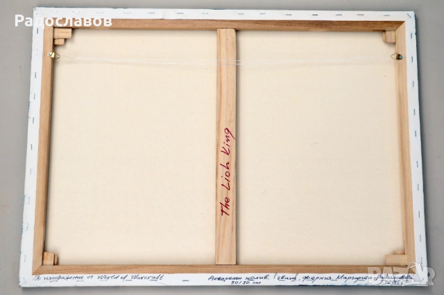 The Lich King, по изображение от World of Warcraft /картина, оригинал, 2015г./, снимка 5 - Картини - 53650167