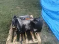 om651 двигател проблем , снимка 2
