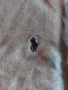 Чисто нова без етикет тениска Ralph Lauren L, снимка 3