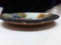 Чиния ръчно рисувана , снимка 3