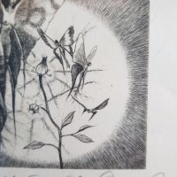 РОБЕРТ БАРЪМОВ 1966 - 2021 Слънчева роза литография графика, снимка 6 - Картини - 40920560