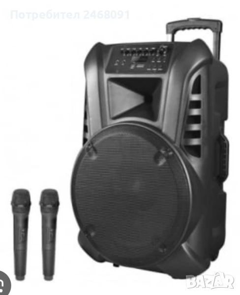 Караоке тонколона thunder 12" нова, снимка 1