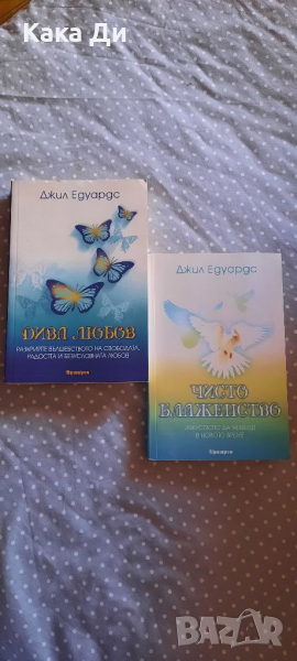 Чисто Блаженство и Дива Любов, снимка 1