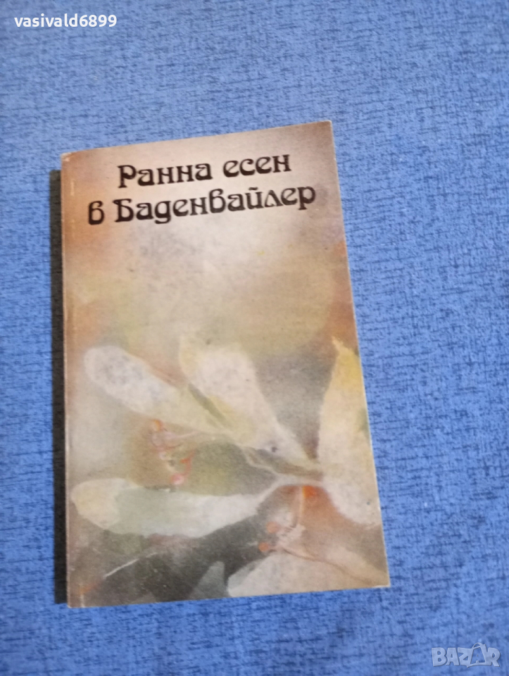 Габриеле Воман - Ранна есен в Баденвайлер , снимка 1