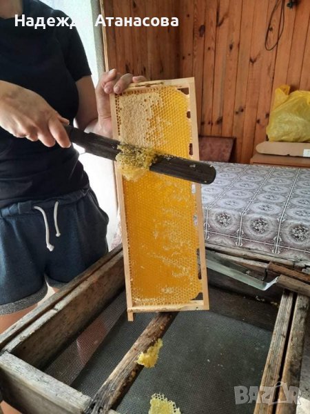 Домашен пчелен мед, снимка 1