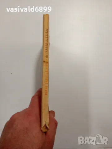 Трифон Палаузов - Митко, синът на отряда , снимка 2 - Българска литература - 48562412