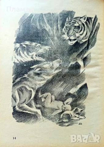Книга за джунглите Ръдиардъ Киплингъ /1927/, снимка 3 - Антикварни и старинни предмети - 56136994