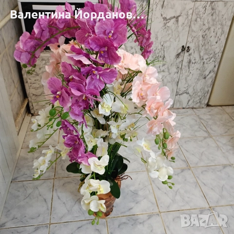 огромна орхидея в керамична ваза с 22 цветоноса, снимка 3 - Декорация за дома - 52905781